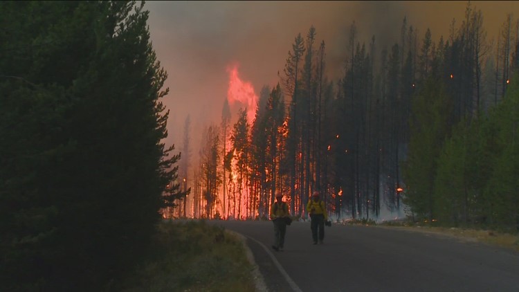 Interagency wildfire agreement: Federal and Idaho agencies partner up