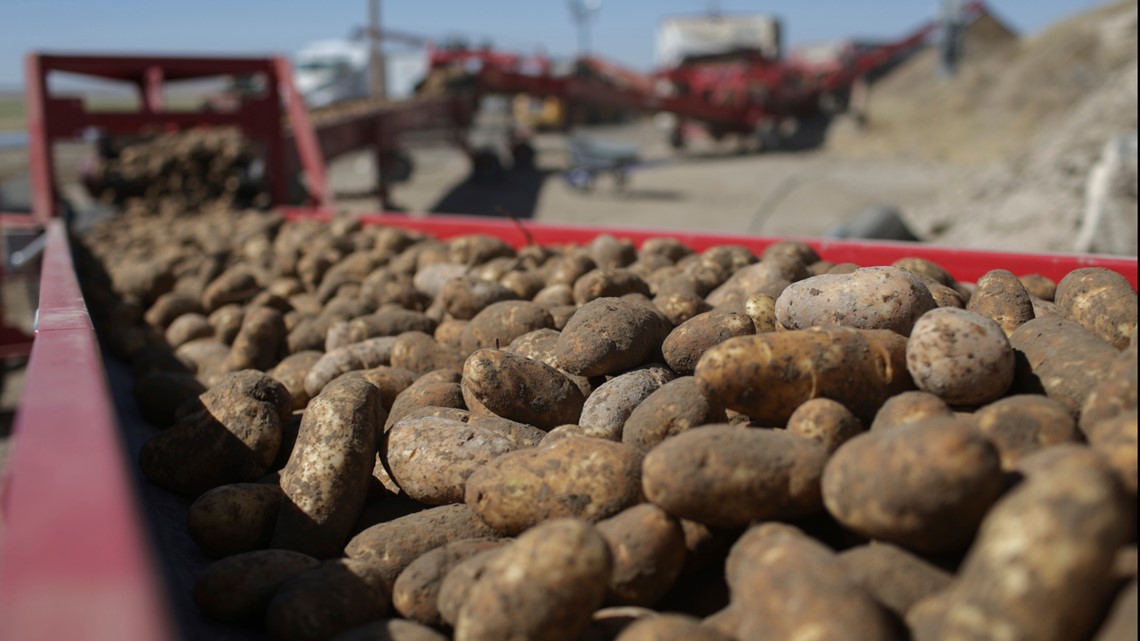 Drought and dry conditions hurt Idaho's potato crop