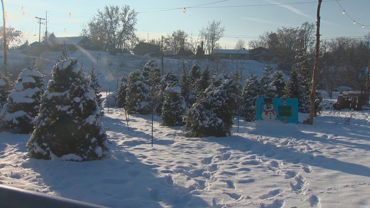 Idaho Christmas tree prices among the lowest in the country