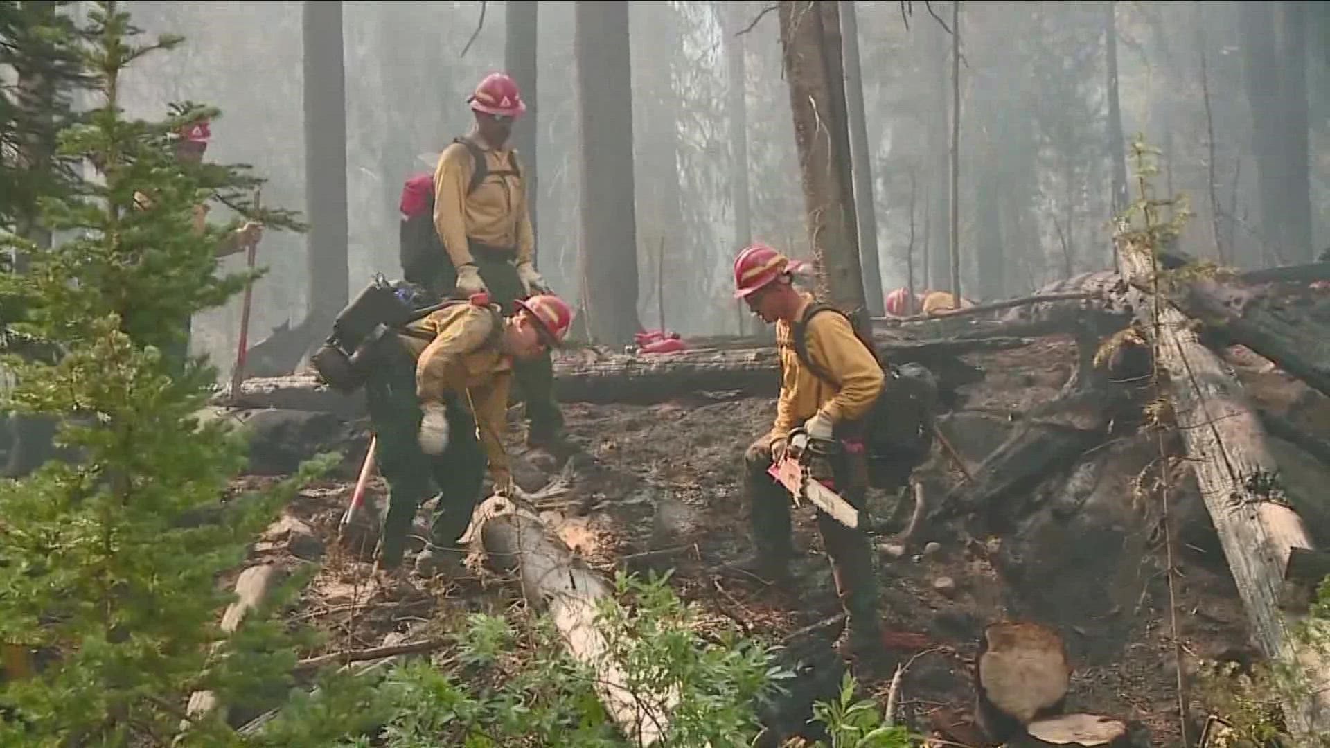 National Interagency Fire Center expects to see an increase in applicants and staff for the next fire season because of the Bipartisan Infrastructure Law.