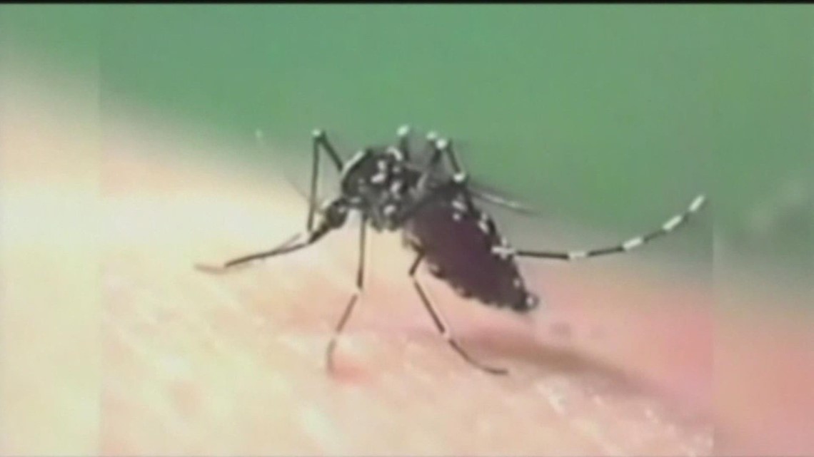 Idaho Agriculture warns threat posed infected mosquitoes