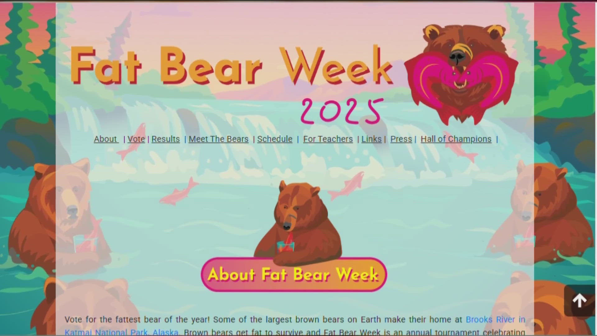 Alaska's bears compete in annual Fat Bear Week | krem.com