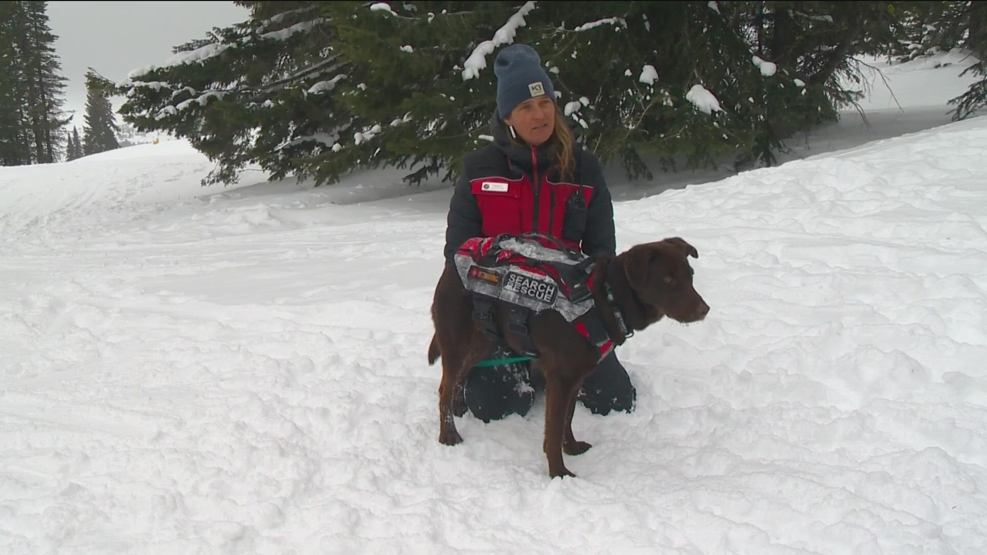 Instructors with the Colorado Rapid Avalanche Department taught 12 dog teams over the course of three days.