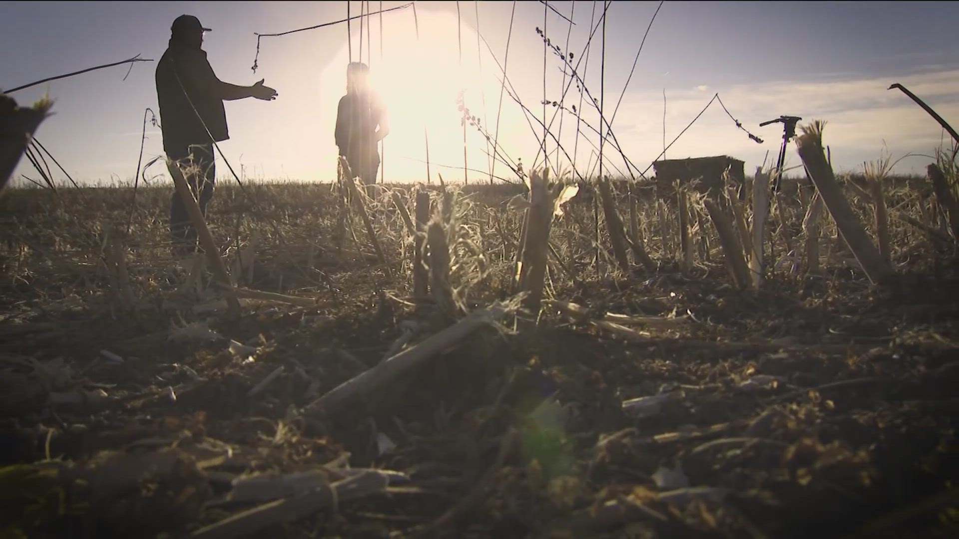 An Idaho Farmer spoke with KTVB about how the hemp has the chance to rewrite the story of Idaho's agriculture. 