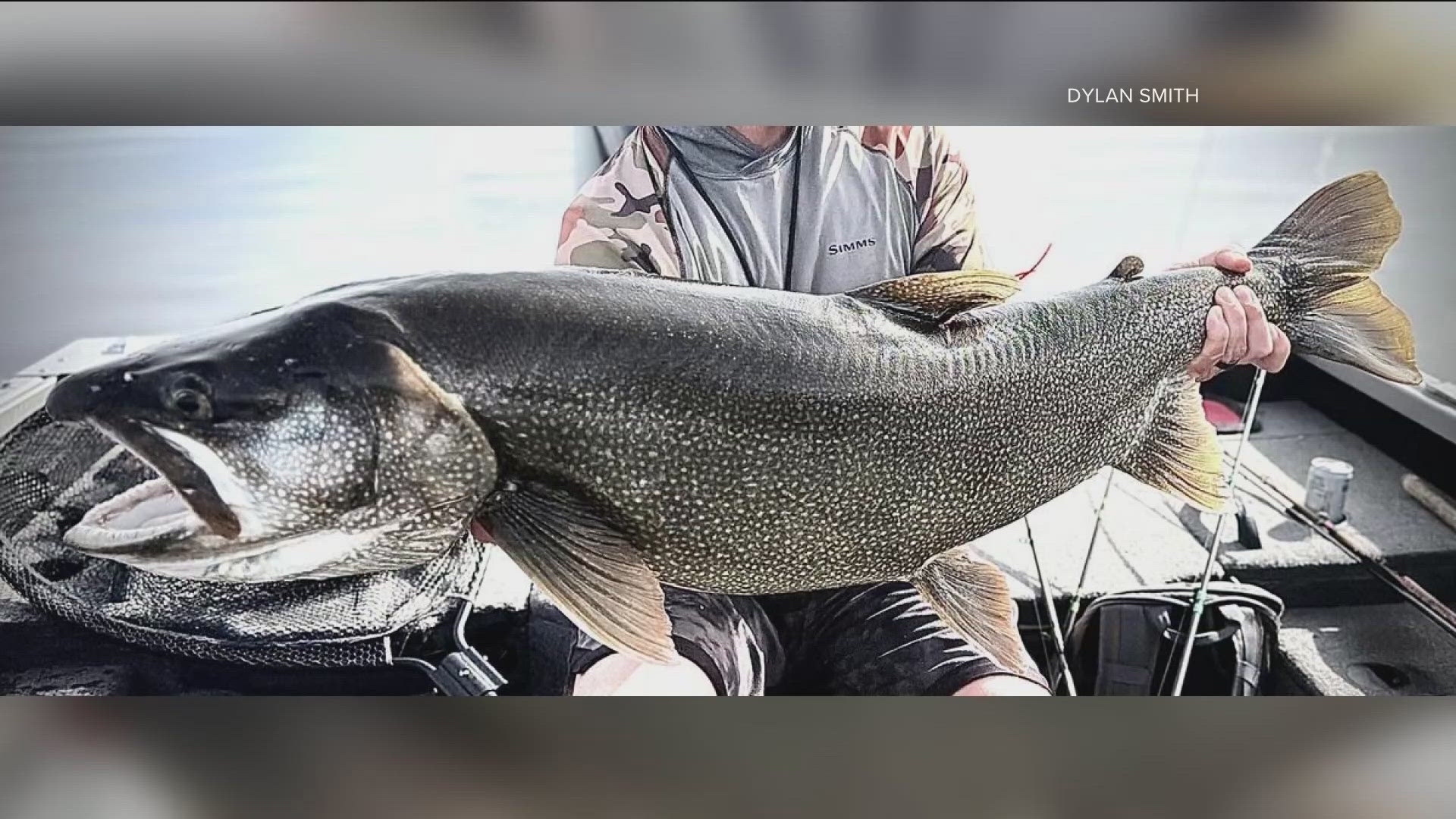 Idaho angler breaks record for largest lake trout in the state | krem.com