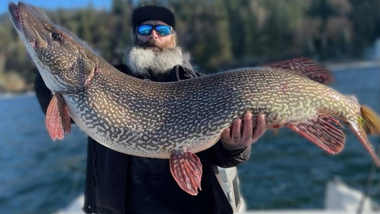 Angler hooks state-record northern pike on Hayden Lake