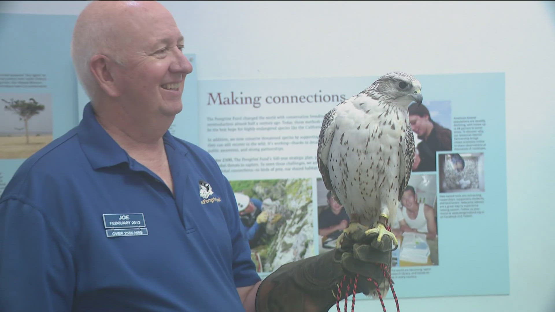 In this week’s Exploring Idaho, Abby Wilt takes us to the World Center for Birds of Prey, where nature’s most powerful raptors live. 