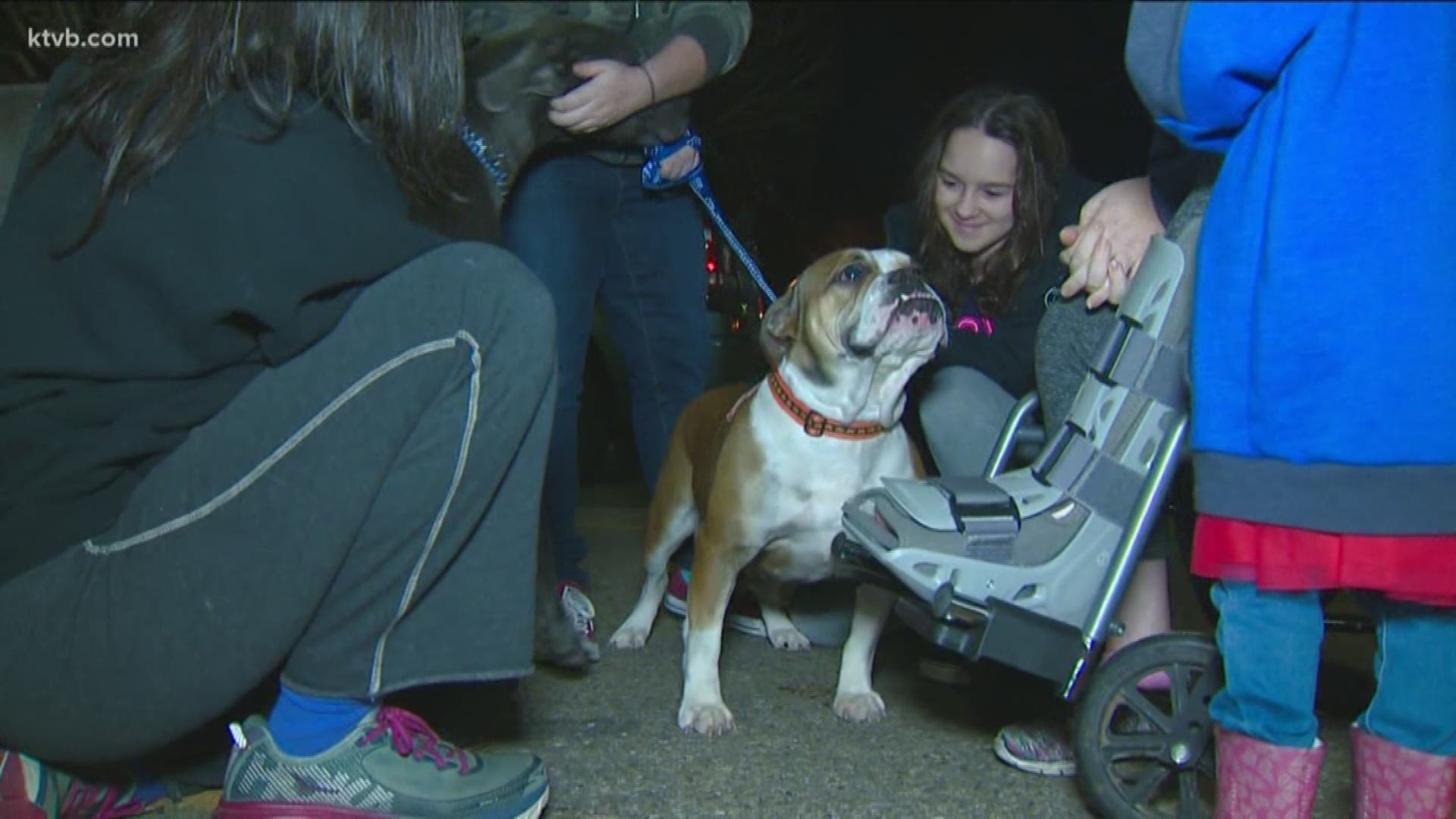 A family, who lost their home to the Camp Fire in California, was reunited with their dogs thanks to a group of Good Samaritans that brought them to Idaho.