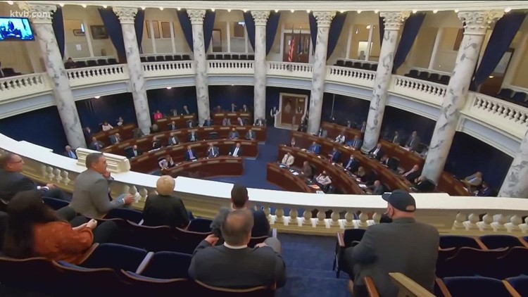 Idaho House panel introduces bill banning youth conversion therapy