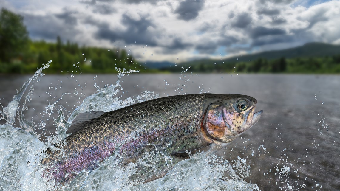 You can fish for free in Washington and Idaho this weekend