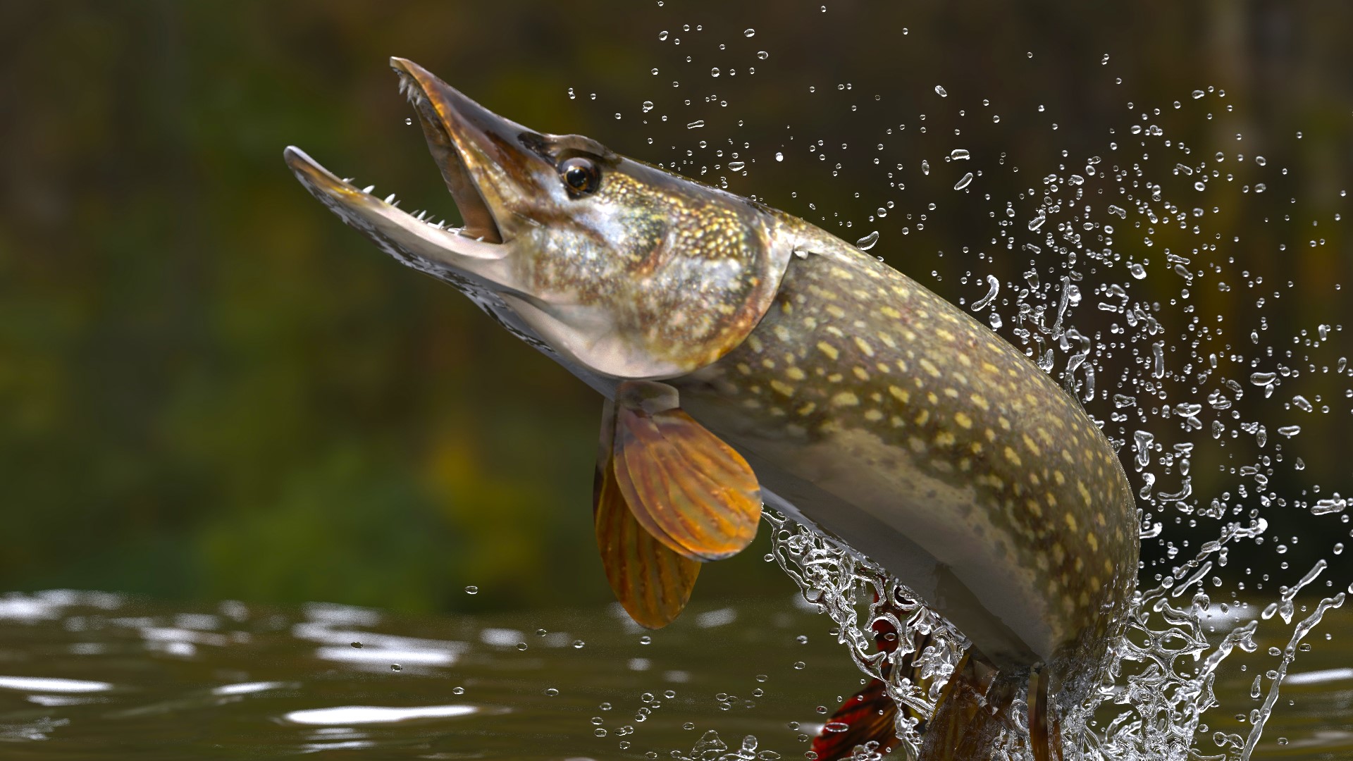 Anglers asked to catch Northern Pike in Lake Roosevelt | krem.com