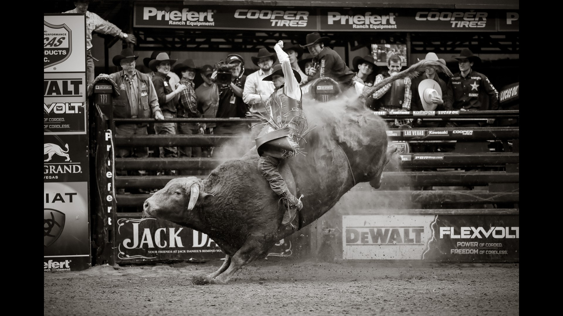 bull rider killed bull rider killed