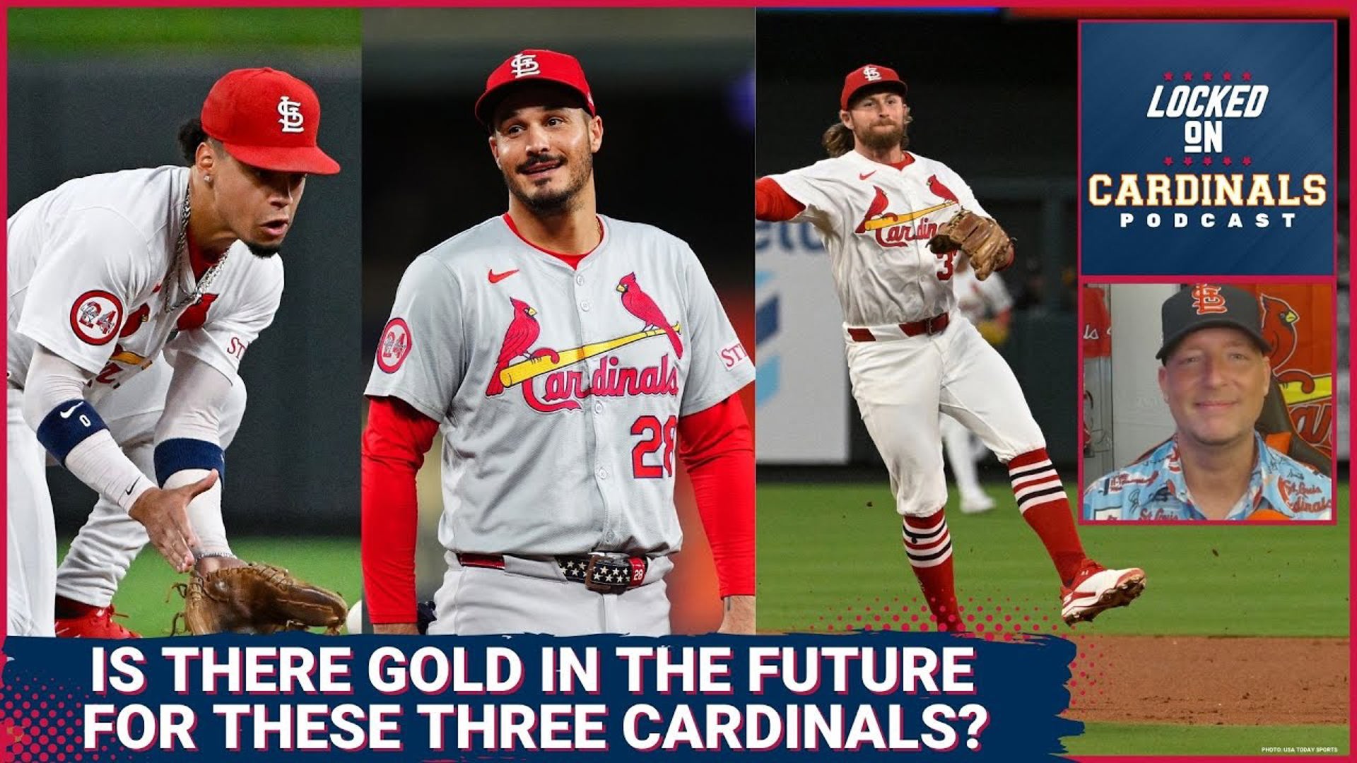 Cardinals Have Three Gold Glove Finalists Plus The Main Reasons This Team Isn't In The Playoffs