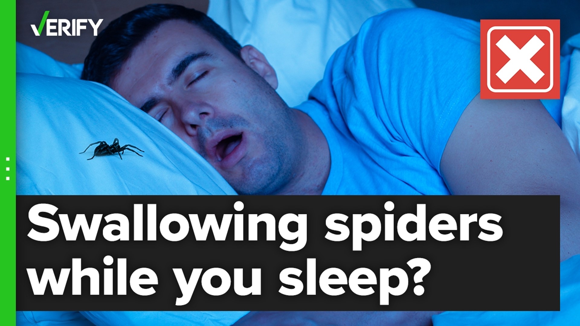 There's no evidence humans regularly swallow spiders while sleeping. It's an urban legend.