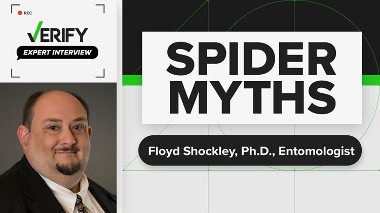 Do people swallow spiders in their sleep? | Expert Interview with Floyd Shockley, Ph.D.
