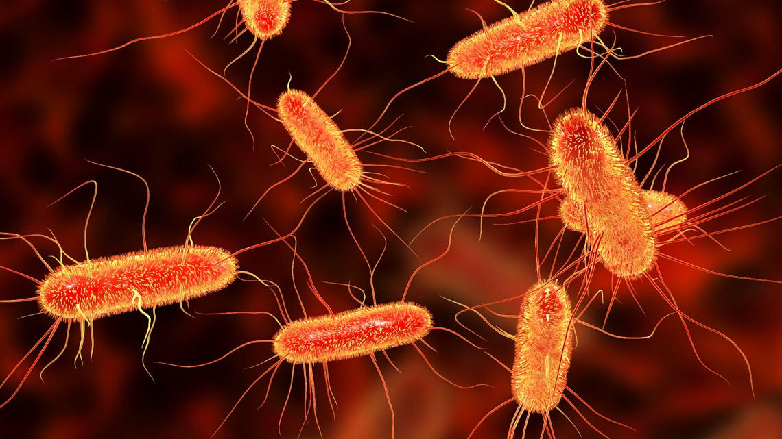 E. coli outbreak in Washington linked to yogurt, state health officials say - Vimarsana News