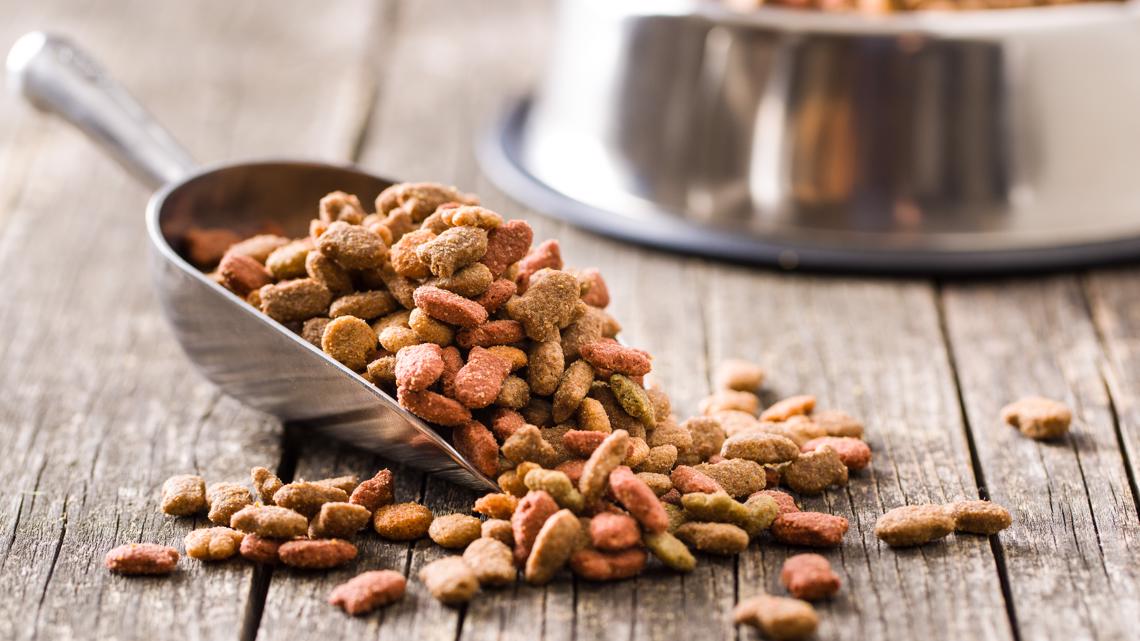 SpokAnimal donating food, supplies to pet owners impacted by wildfires - Vimarsana News