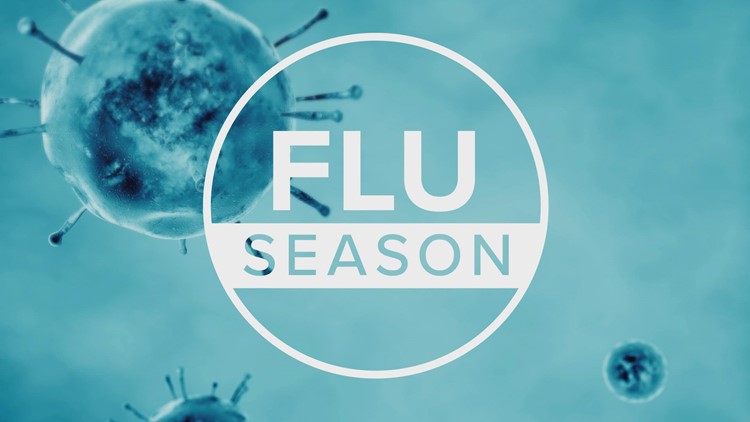 First flu death reported in Idaho for 2022 season