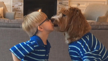 what kind of dog is reagandoodle