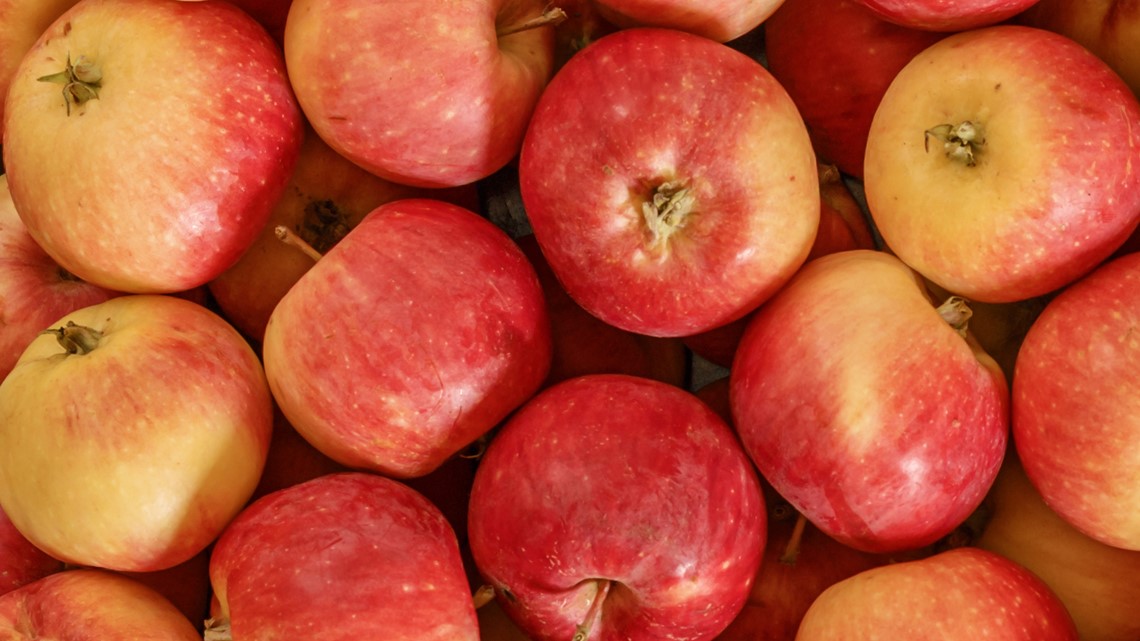 What is an apple maggot quarantine in Washington?