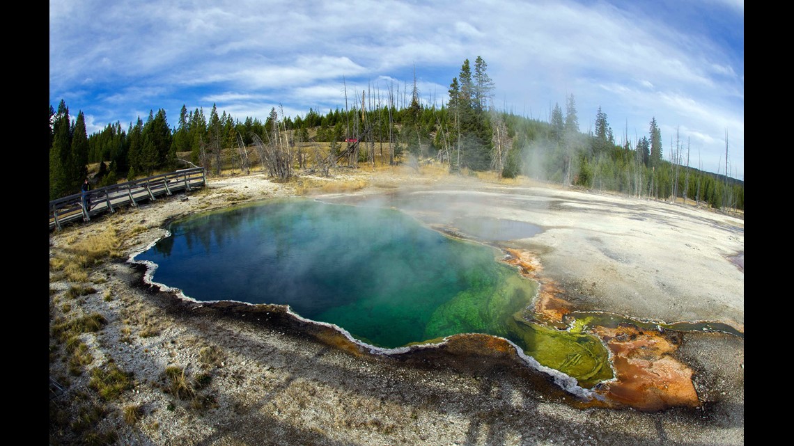 Foot found floating in Yellowstone pool - Vimarsana News